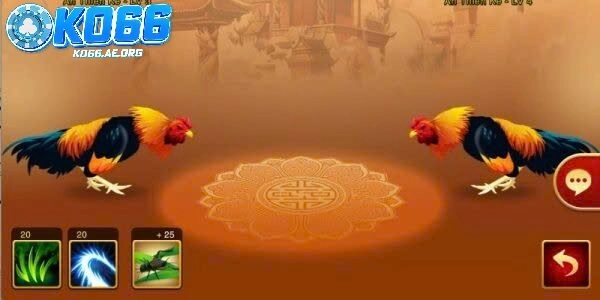 Giao lưu học hỏi trong cộng đồng đá gà