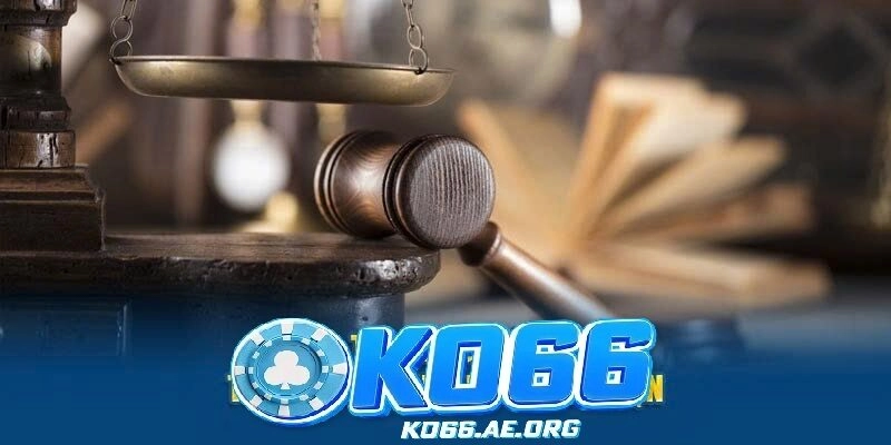 Chính sách xử lý vi phạm