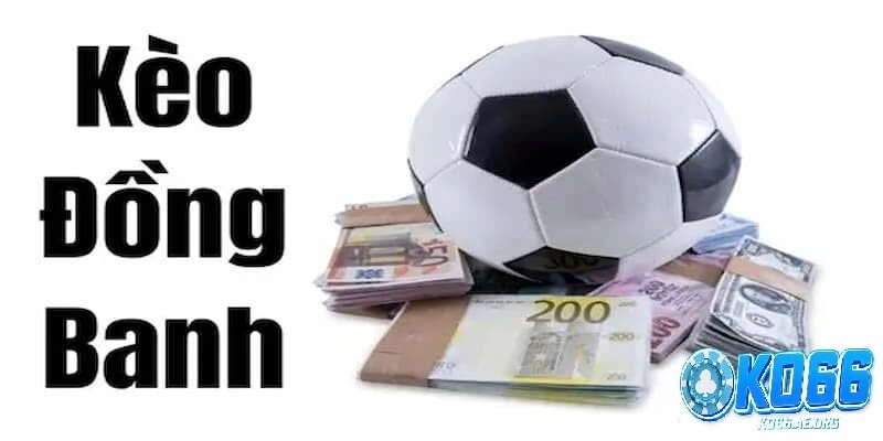 Kèo Đồng Banh Là Gì? Tìm Hiểu Chi Tiết Tại Nhà Cái Ko66