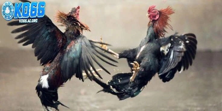 Cách nhận biết biến động cho người chơi